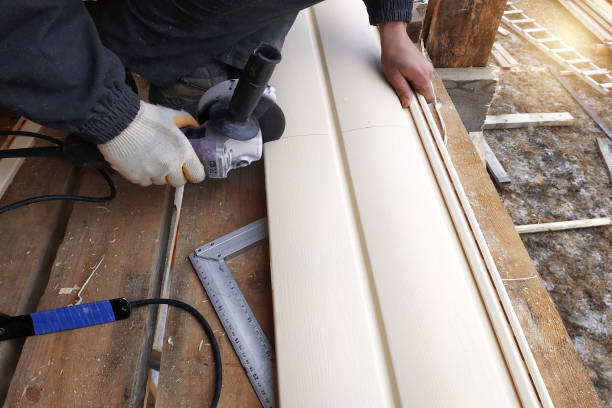 Best Steel Siding Installation  in Roberta, GA